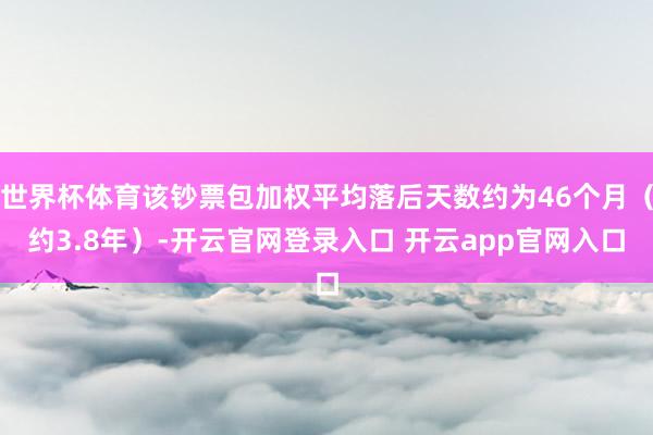 世界杯体育该钞票包加权平均落后天数约为46个月（约3.8年）-开云官网登录入口 开云app官网入口