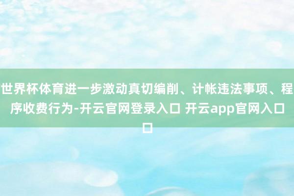 世界杯体育进一步激动真切编削、计帐违法事项、程序收费行为-开云官网登录入口 开云app官网入口