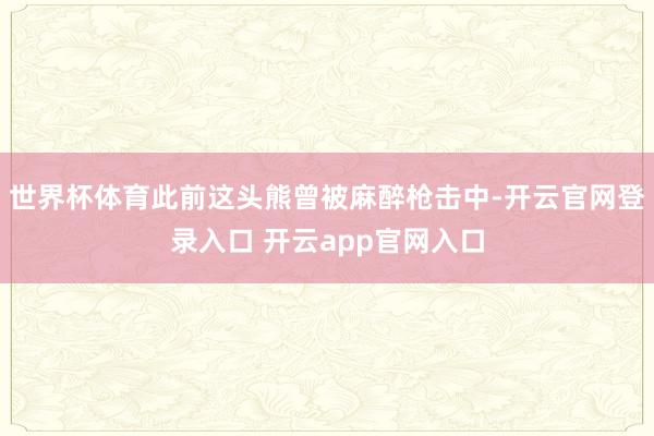 世界杯体育此前这头熊曾被麻醉枪击中-开云官网登录入口 开云app官网入口