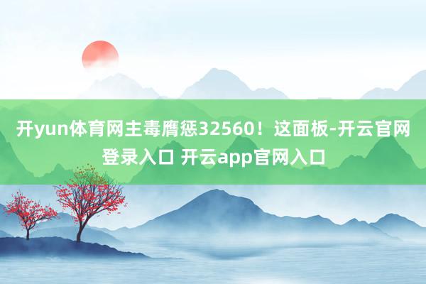 开yun体育网主毒膺惩32560！这面板-开云官网登录入口 开云app官网入口