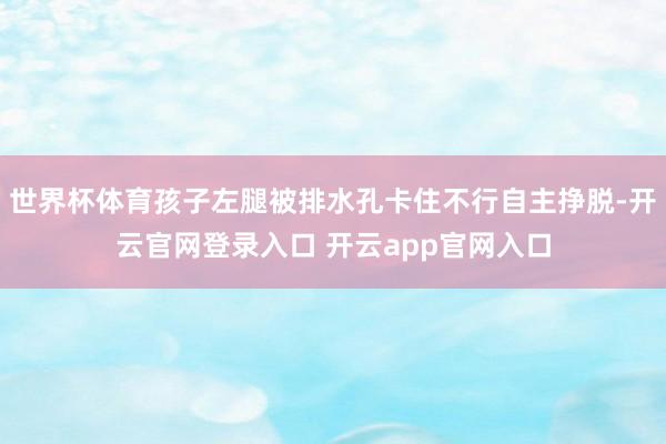 世界杯体育孩子左腿被排水孔卡住不行自主挣脱-开云官网登录入口 开云app官网入口