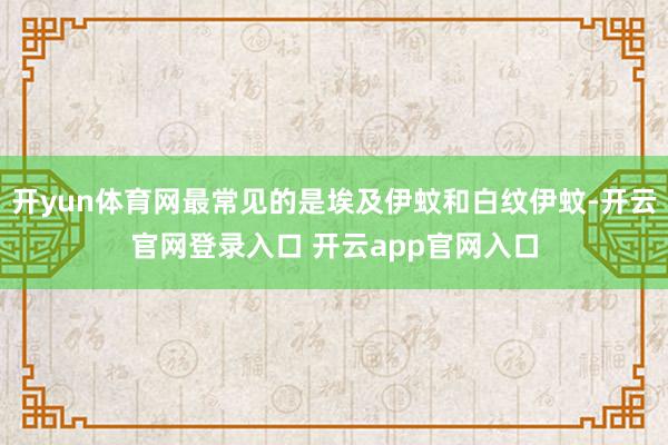 开yun体育网最常见的是埃及伊蚊和白纹伊蚊-开云官网登录入口 开云app官网入口
