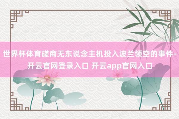 世界杯体育磋商无东说念主机投入波兰领空的事件-开云官网登录入口 开云app官网入口