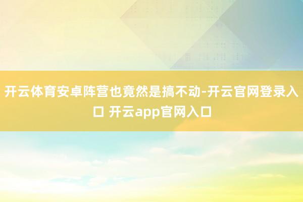 开云体育安卓阵营也竟然是搞不动-开云官网登录入口 开云app官网入口