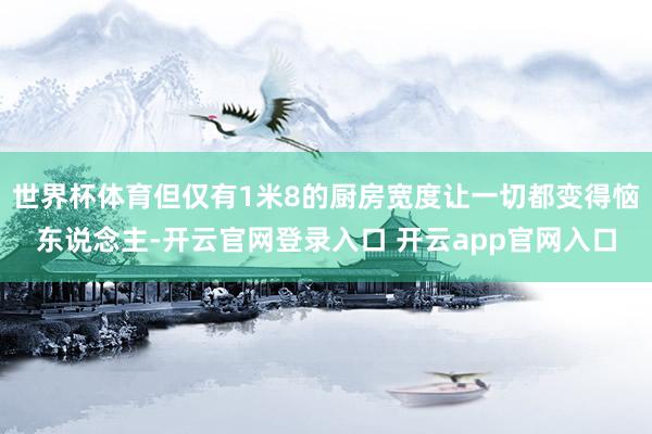 世界杯体育但仅有1米8的厨房宽度让一切都变得恼东说念主-开云官网登录入口 开云app官网入口